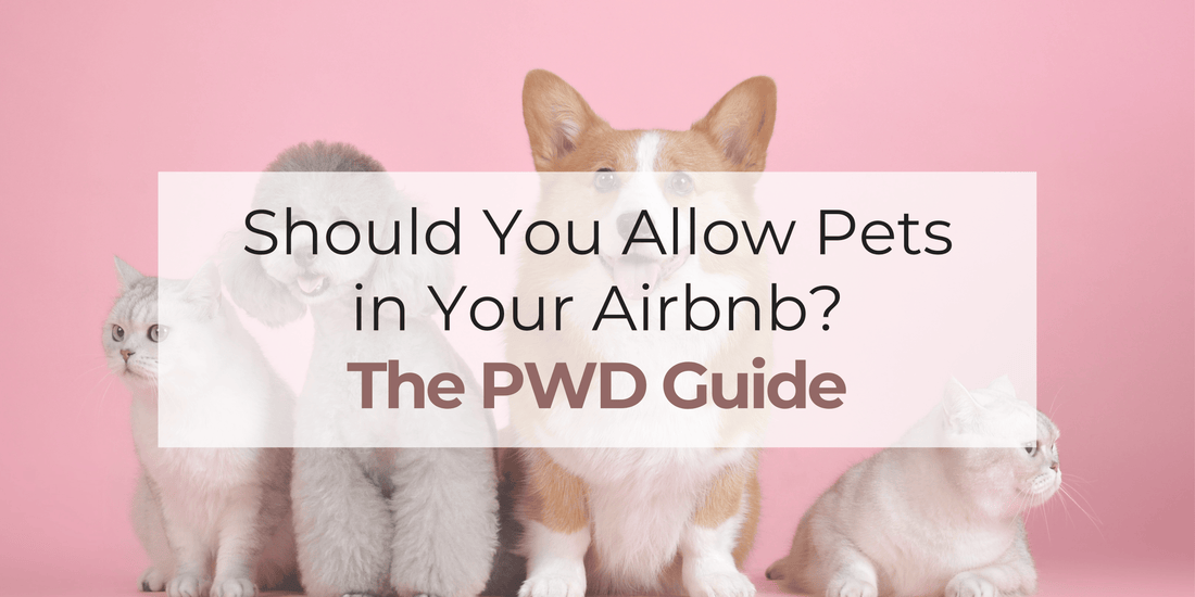 Should You Allow Pets in Your Airbnb?